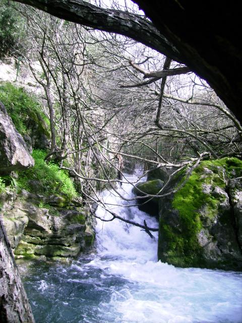 Rio Majaceite 9