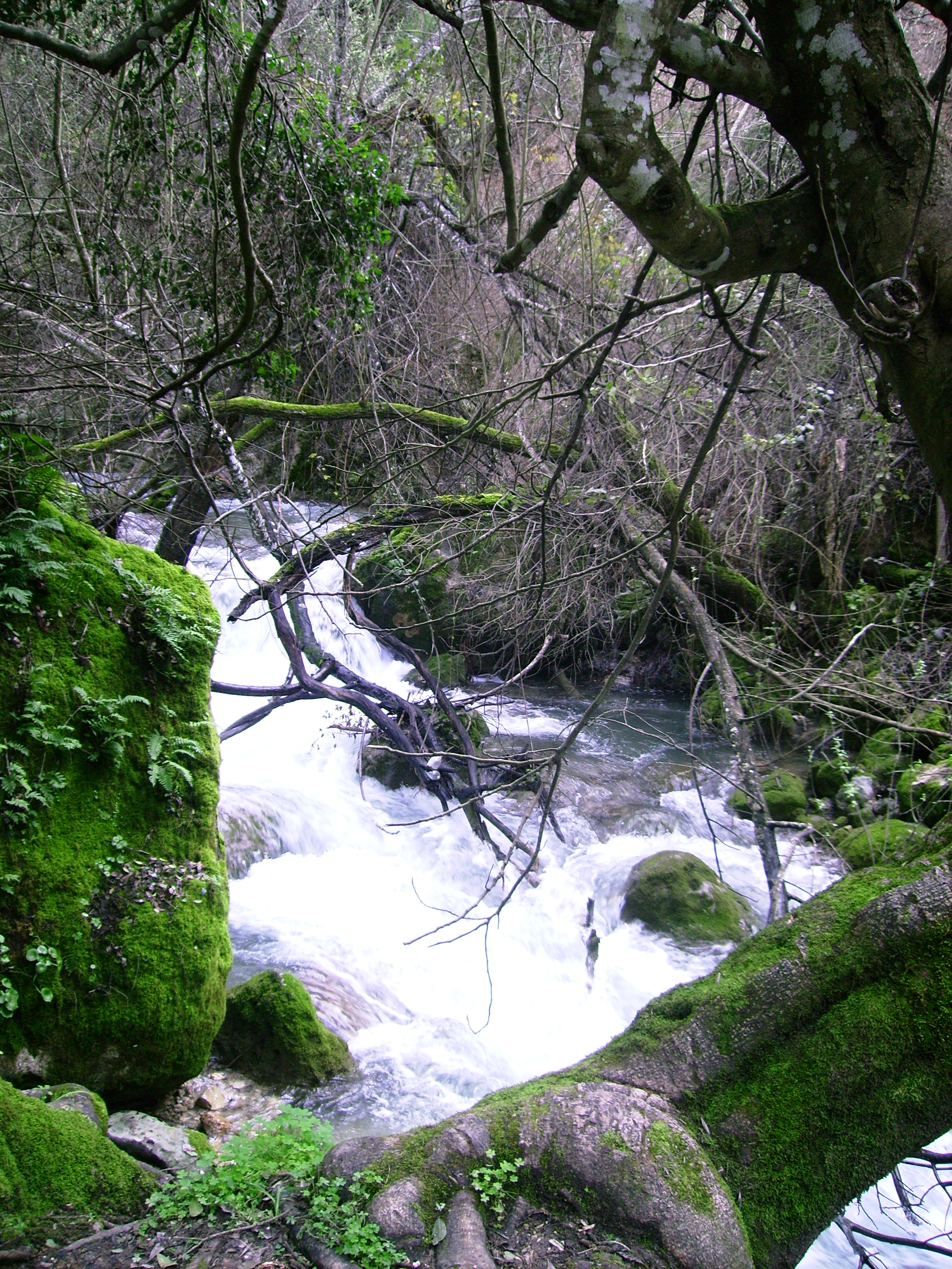 Rio Majaceite 10
