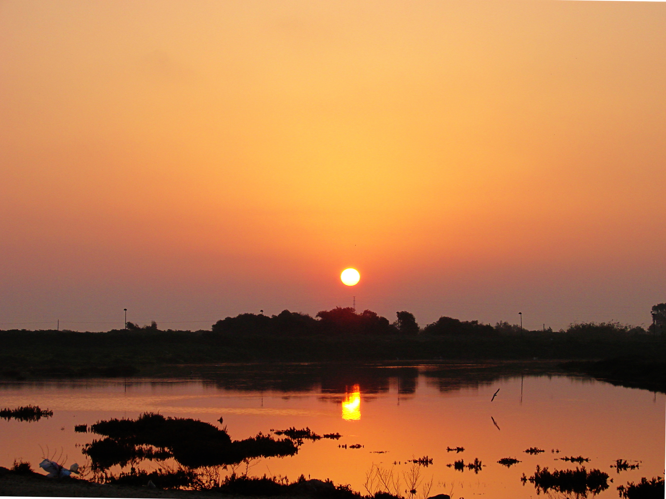 Amanecer en las marismas