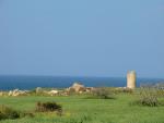 Torre del Puerco - Chiclana (Cádiz)