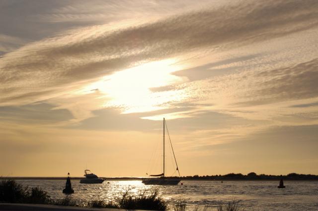DSC_0007fo1 (61)