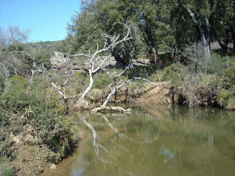 RUTA RIO CAMPOBUCHE, GRAZALEMA