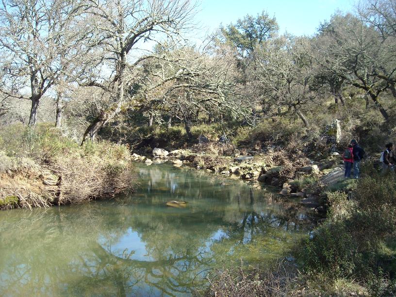 RUTA RIO CAMPOBUCHE, GRAZALEMA