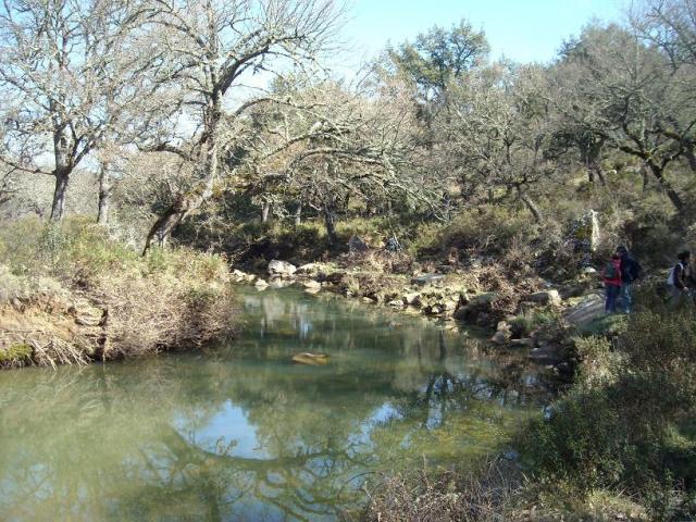 RUTA RIO CAMPOBUCHE, GRAZALEMA