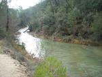 DSCN1677