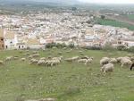 CIMG0136