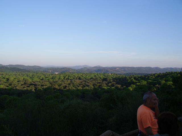 mirador