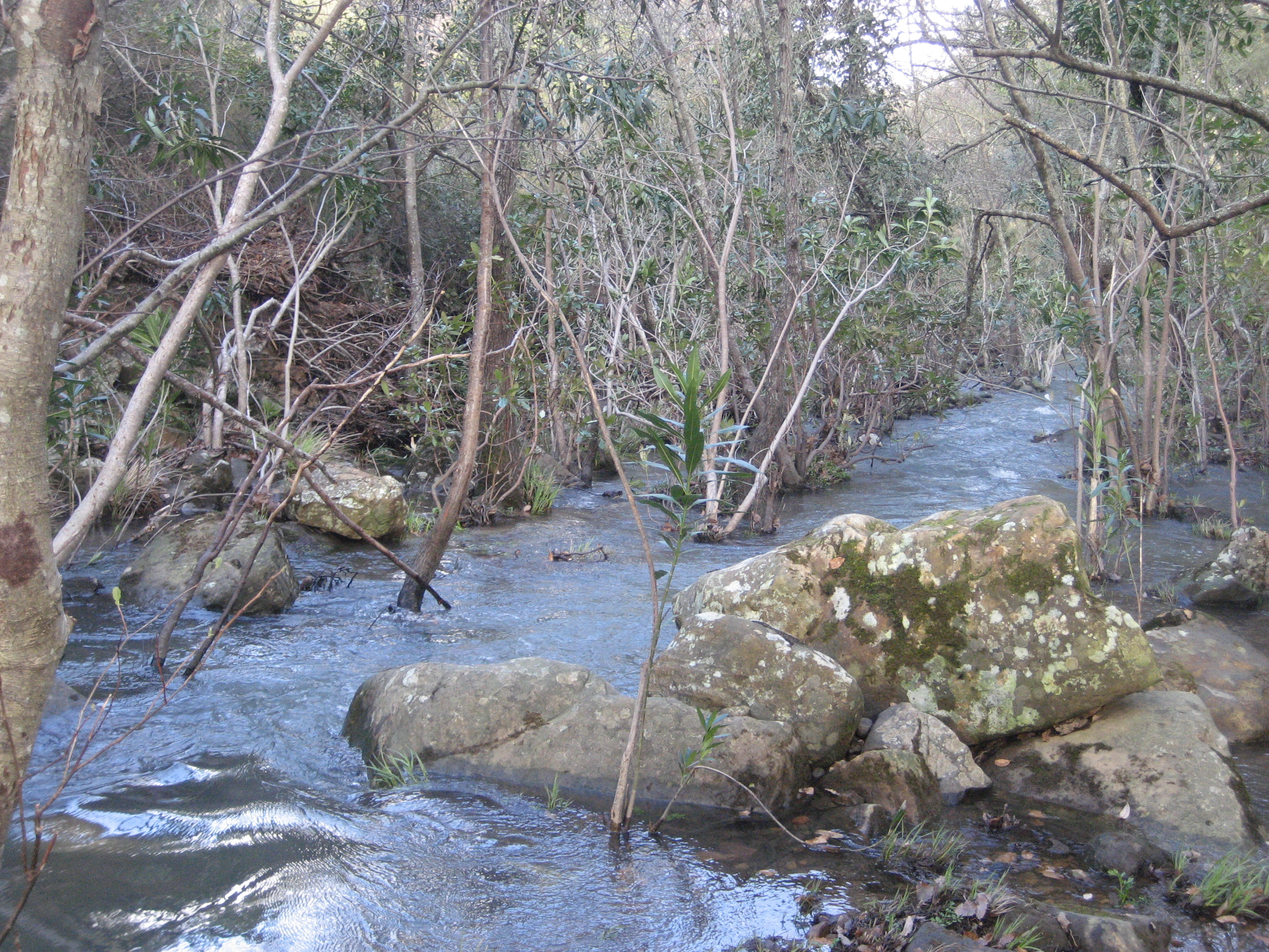 rio de la miel