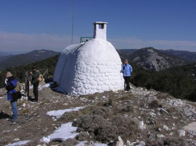 POLLOS DE LA MESA