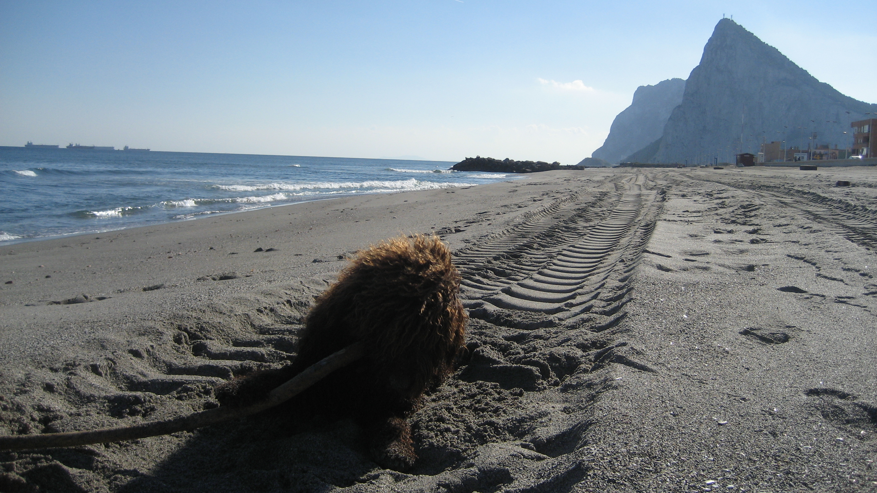 rusty en la playa de el conchal. la linea
