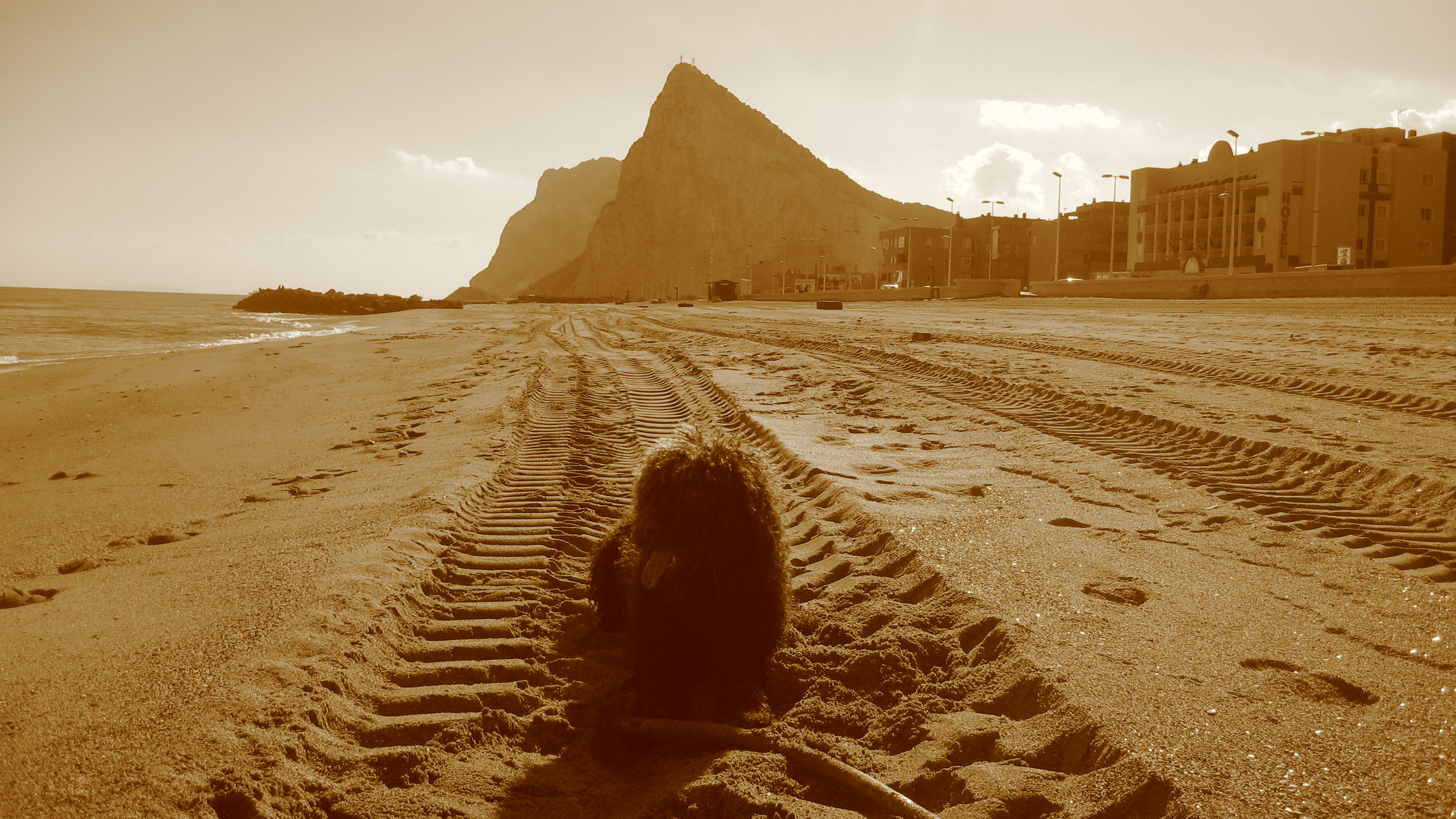 rusty.playa de la linea