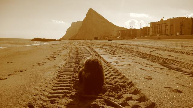 rusty.playa de la linea