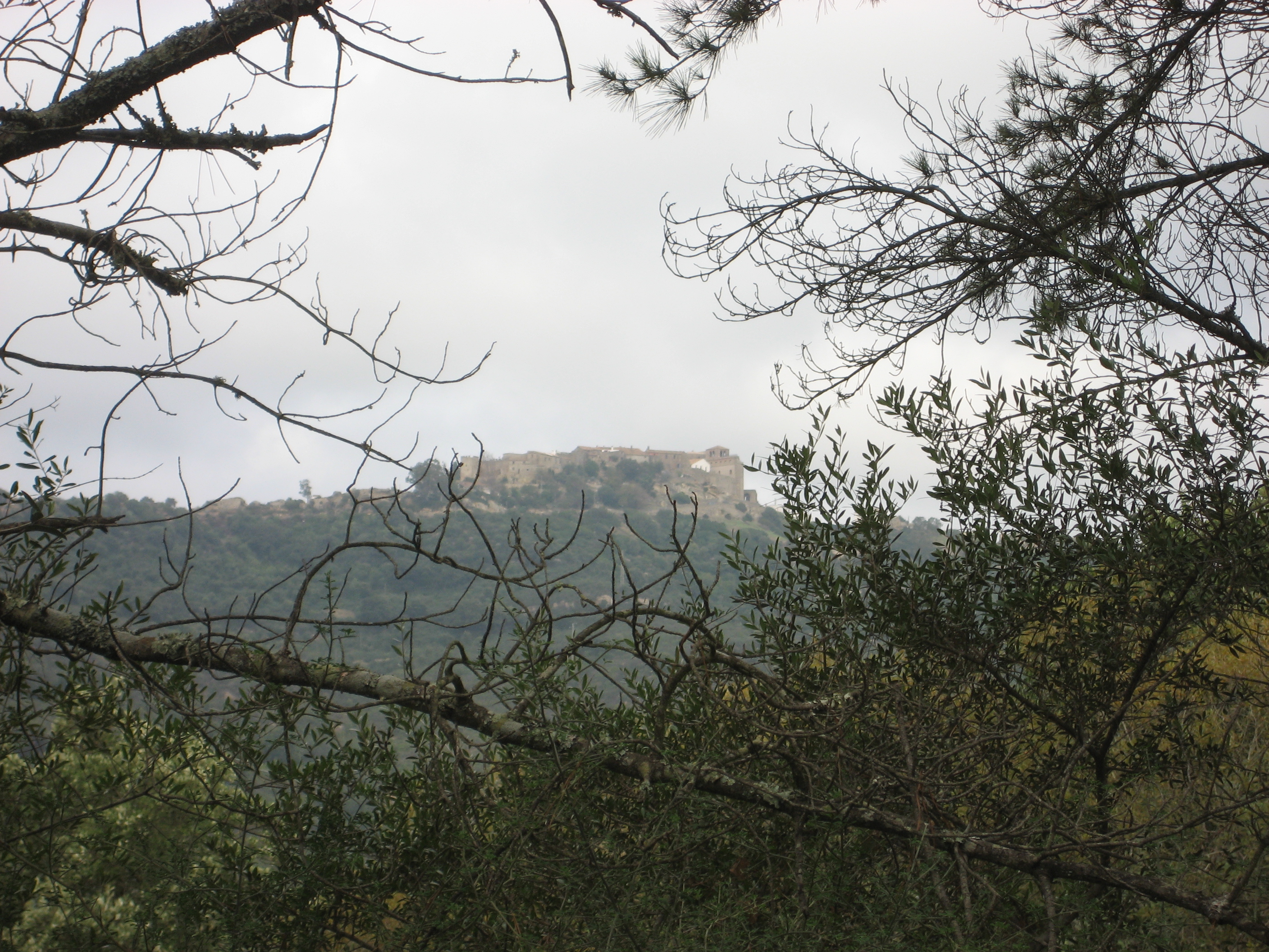 castillo desde el sendero