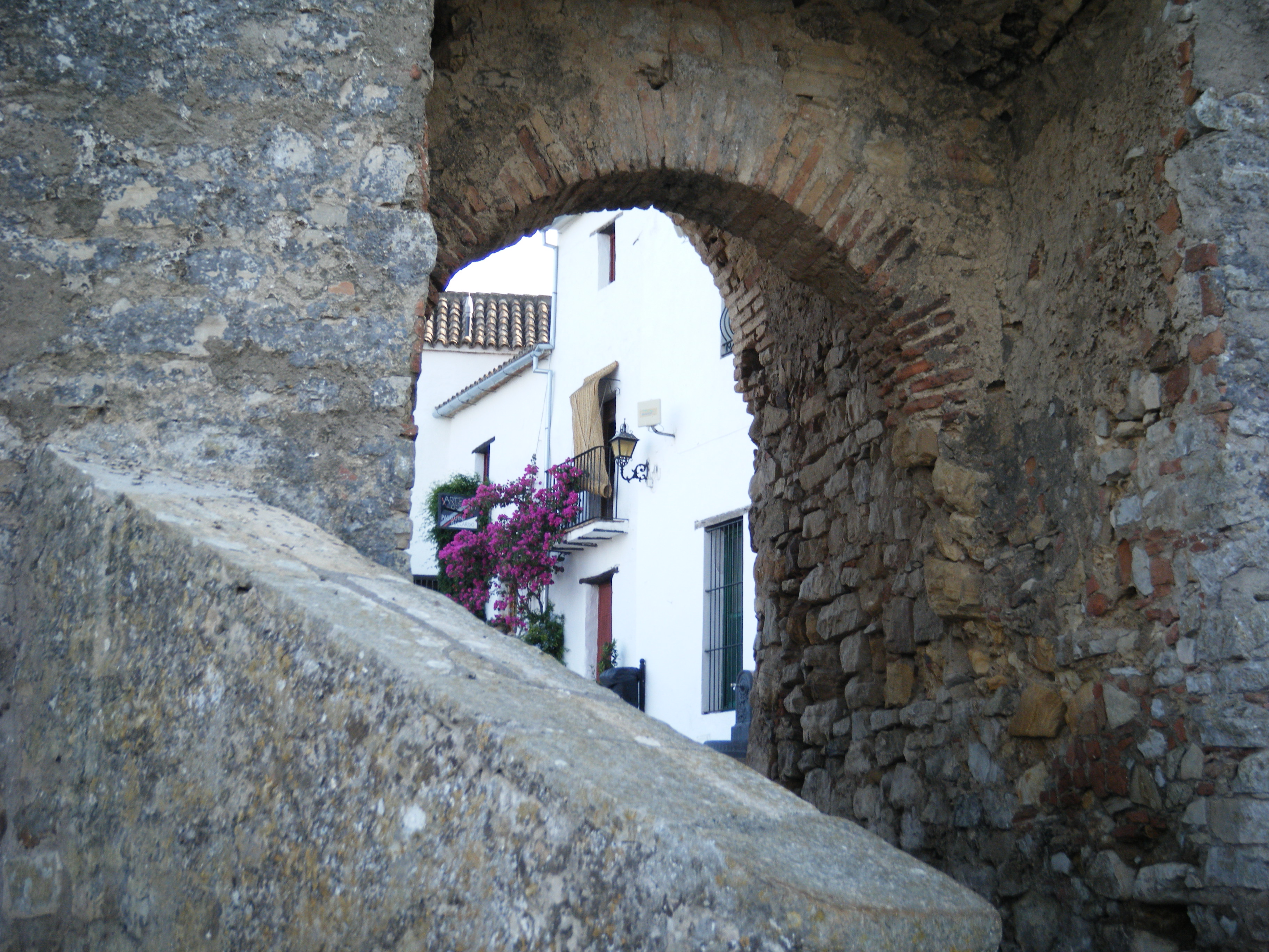 entrada al castillo