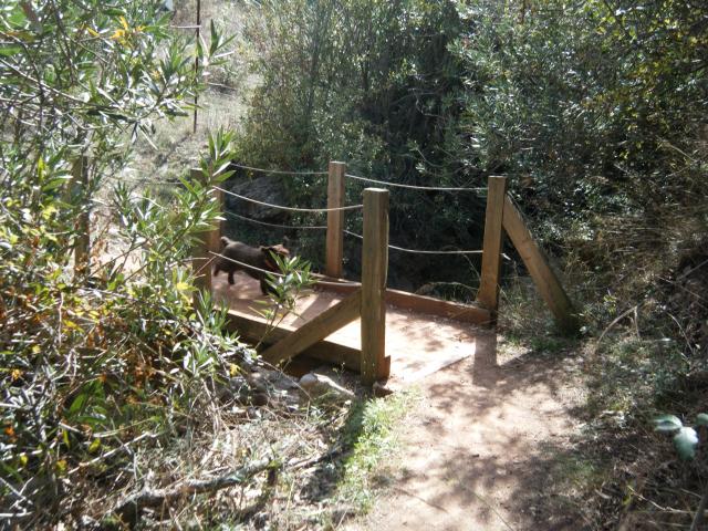 puente en el sendero