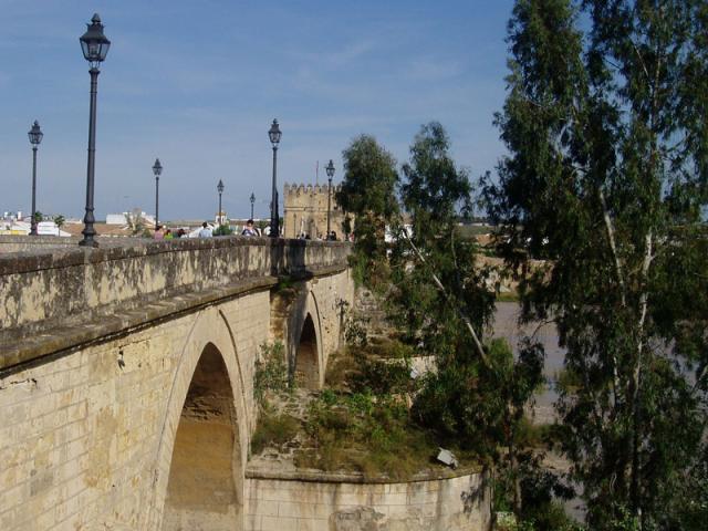 Torre de la Calahorra y Puente Romano