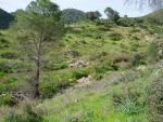 Sierra de Córdoba