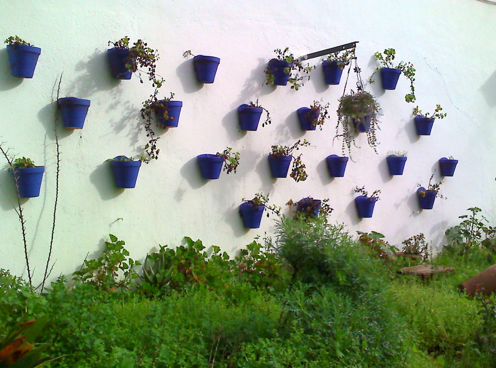 Fachada en Constantina