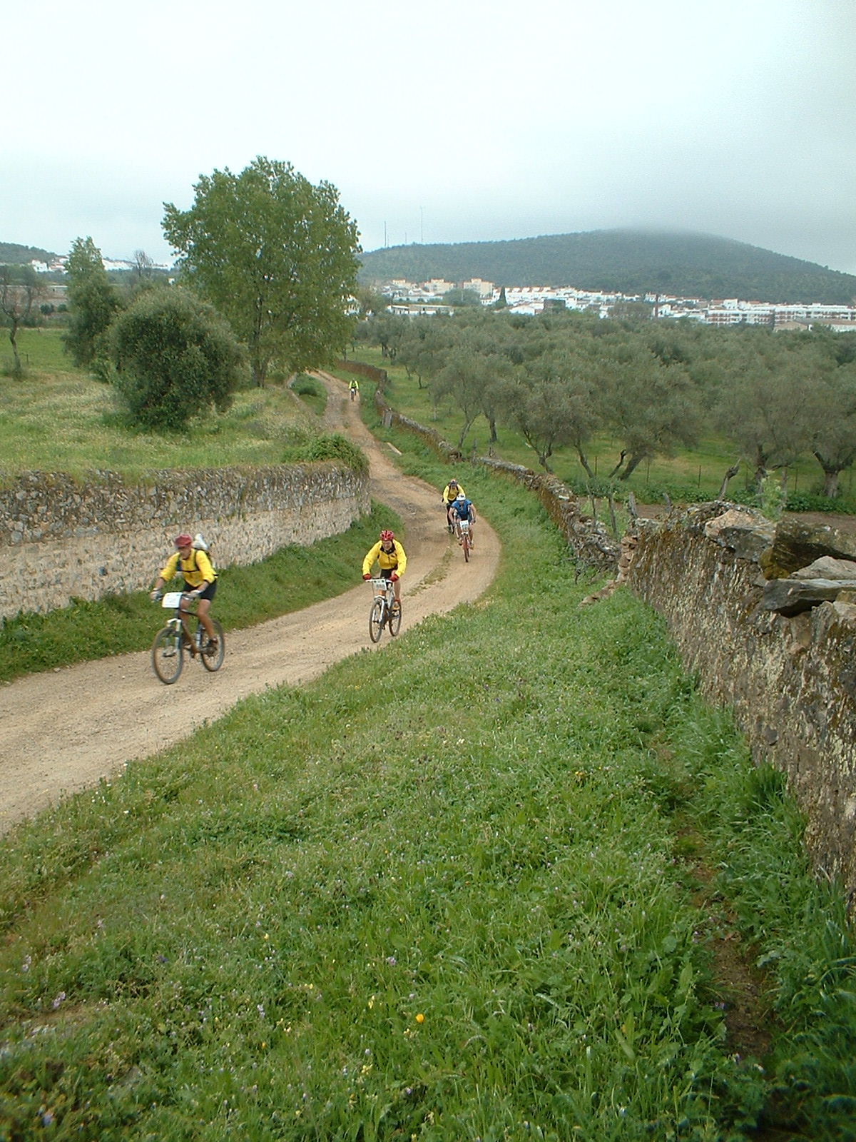Camino de La Jurdana en Constantina