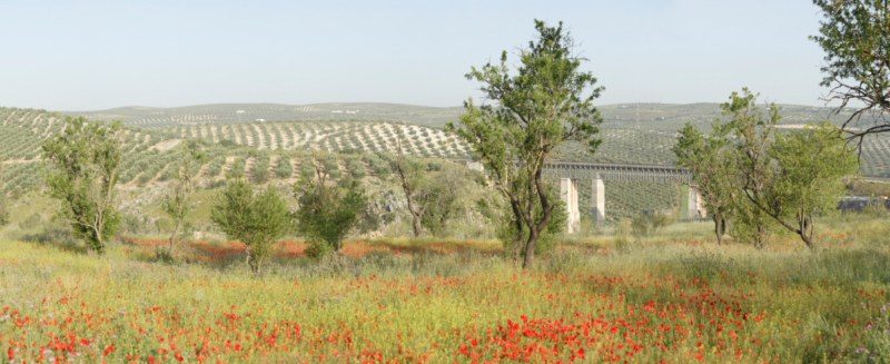 Paraje de Puente Barrancón
