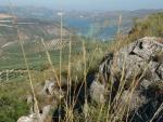 Yacimiento Megalítico de Sierra Martilla