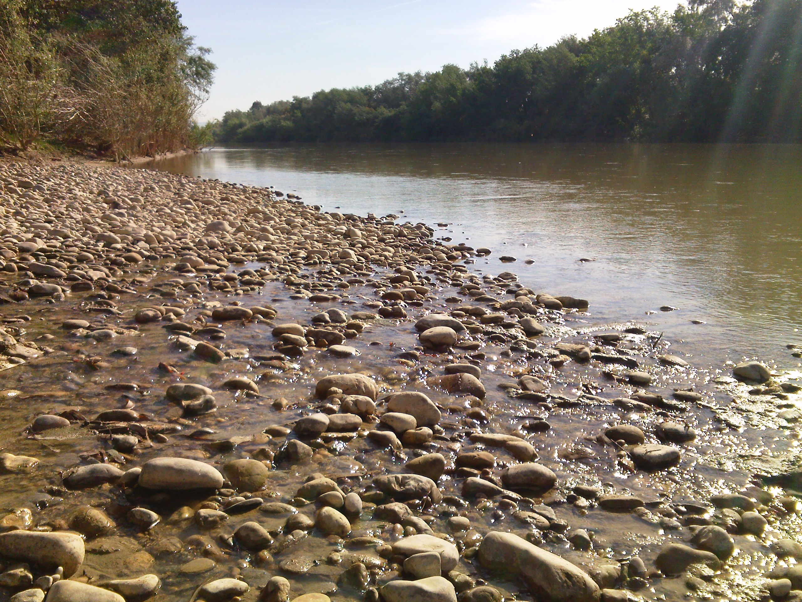 Ribera del Río Guadalquivir