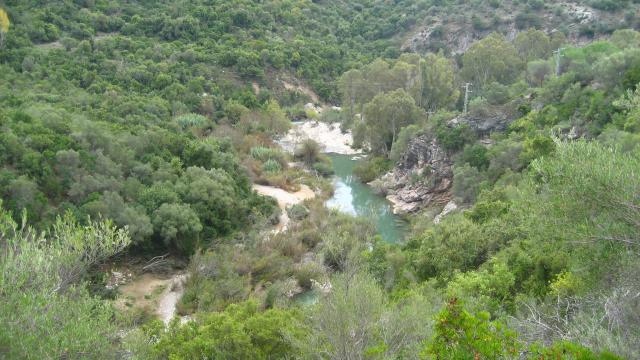 vistas del rio guadiaro