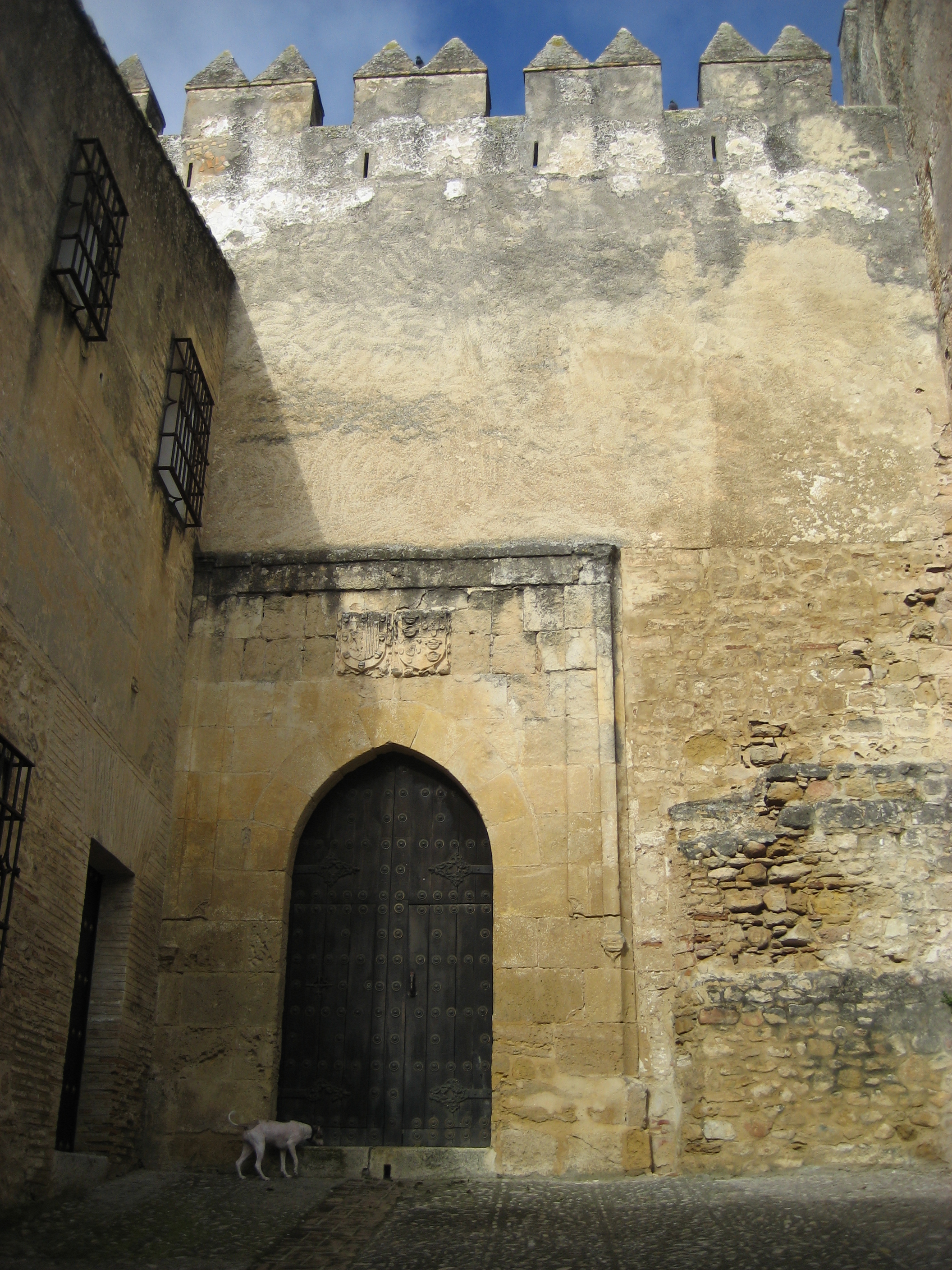 puerta trasera