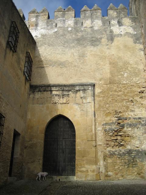 puerta trasera