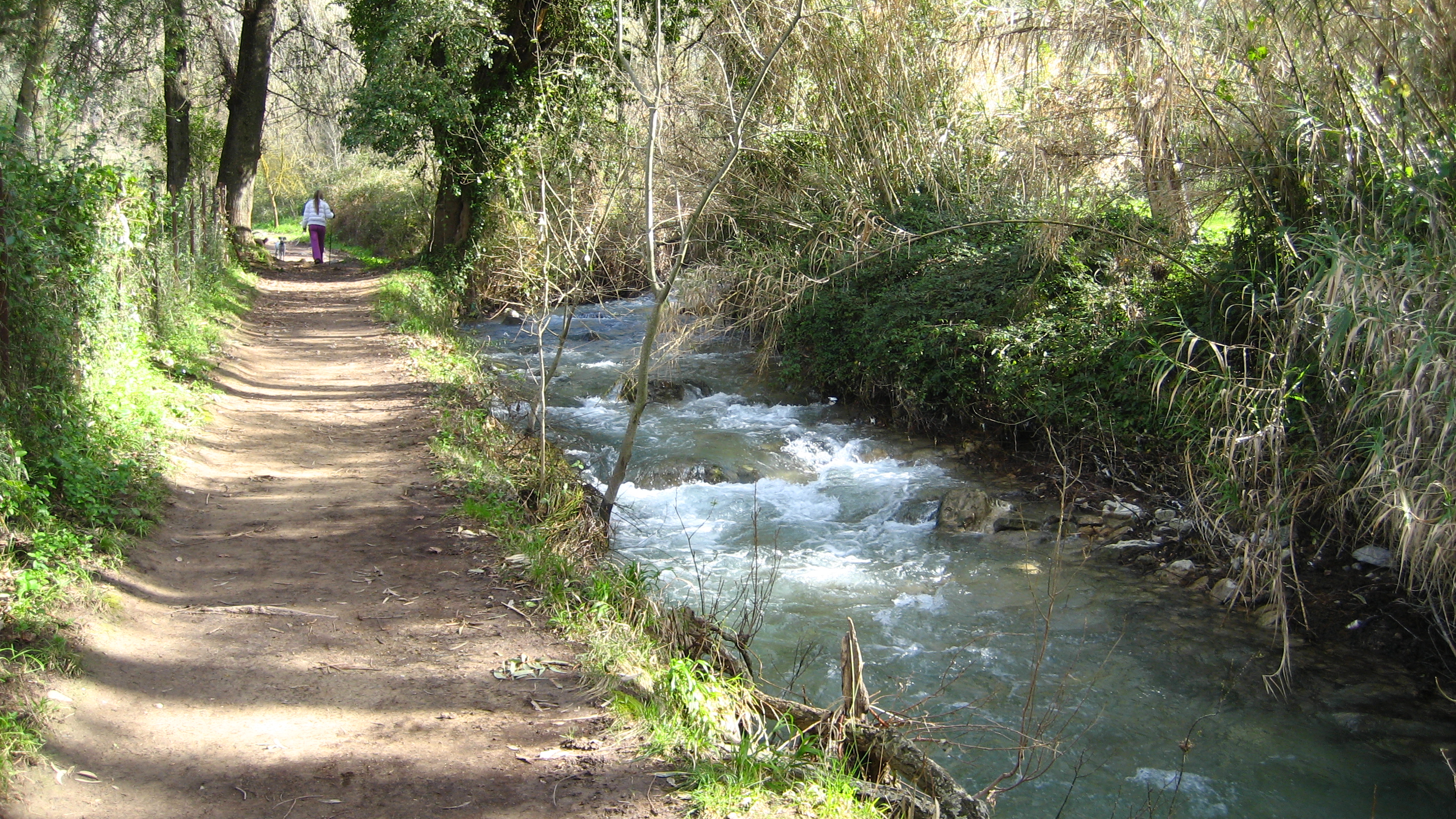 sendero