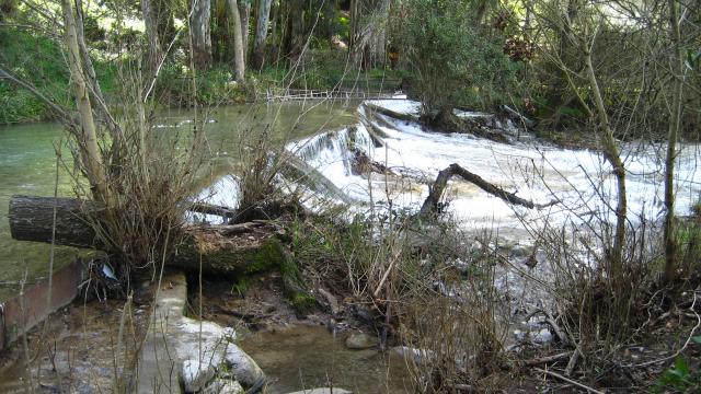 rio majaceite