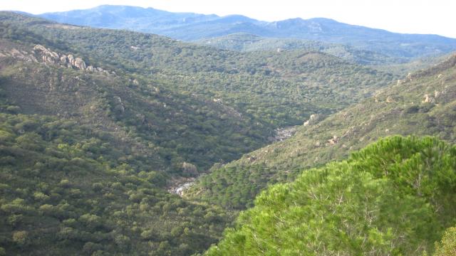 el valle del hozgarganta