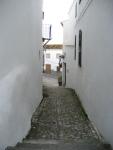 angostos pasos