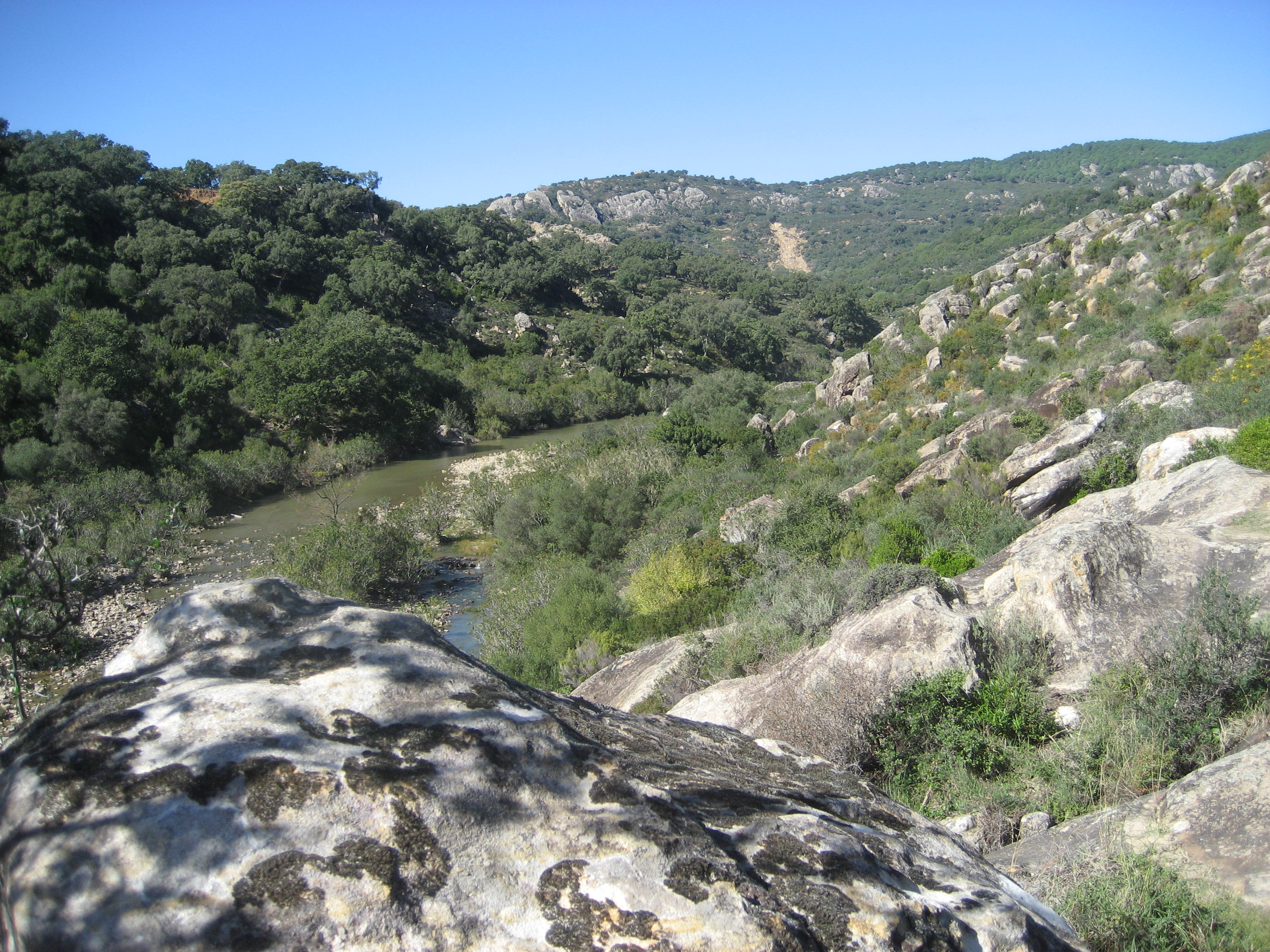 vistas del rio