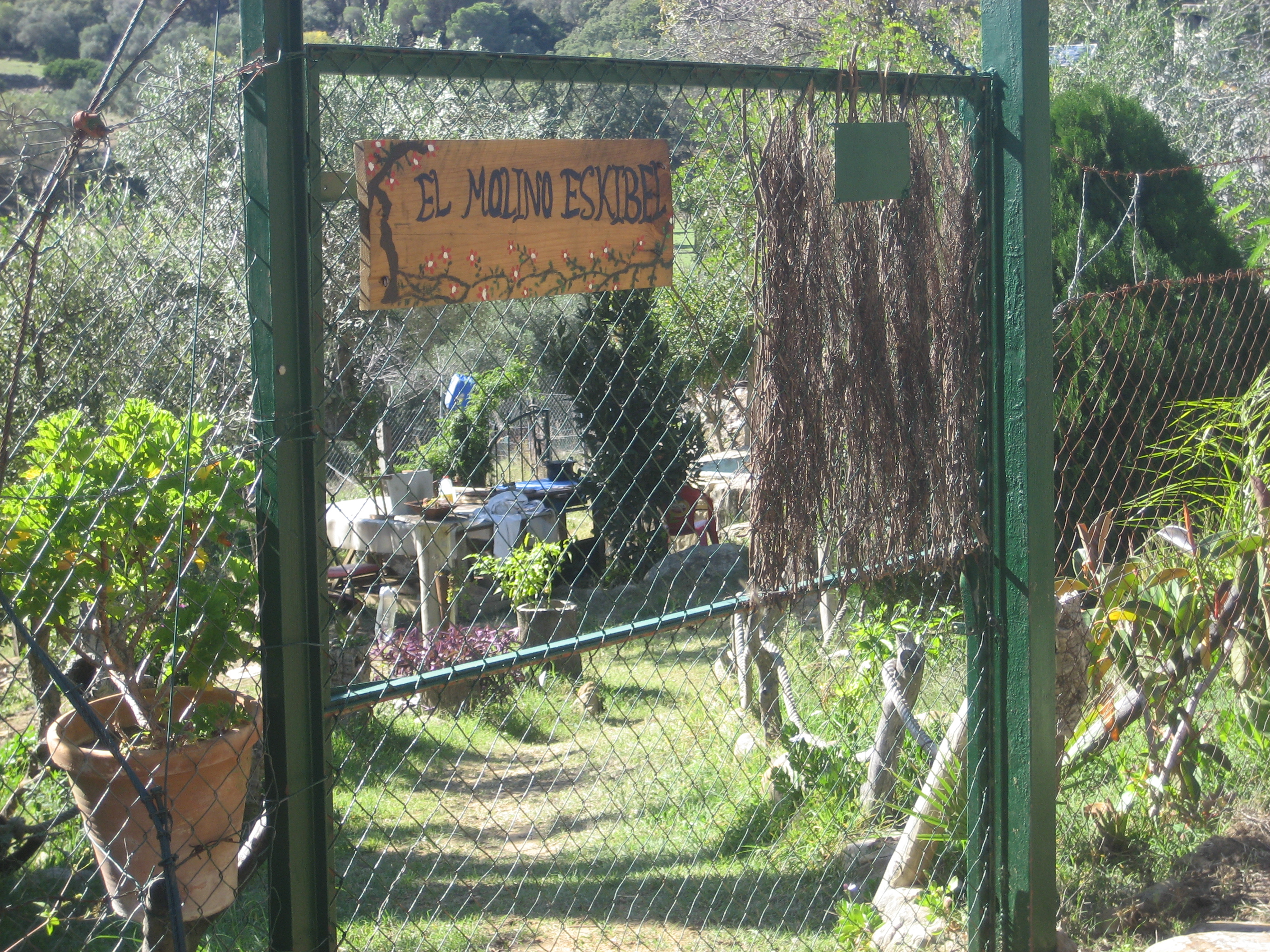 molino esquivel