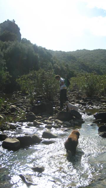 investigacion por las orillas del rio