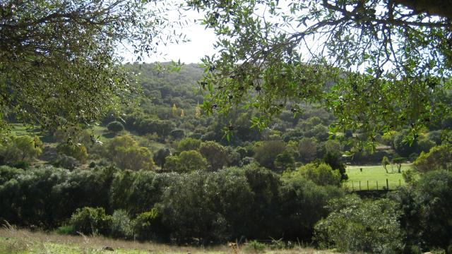 bonita vista del lugar