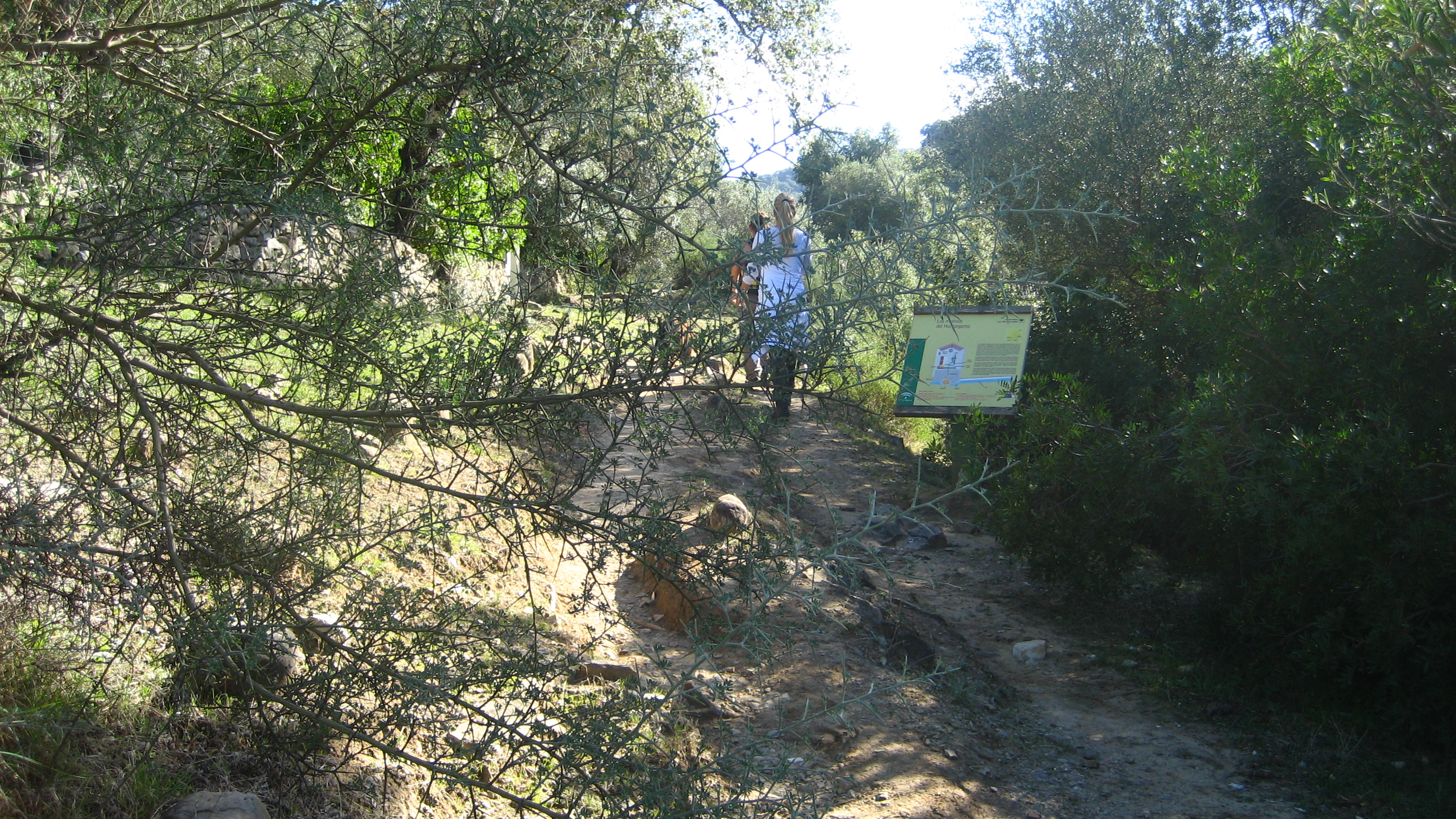 pasamos por los antiguos molinos