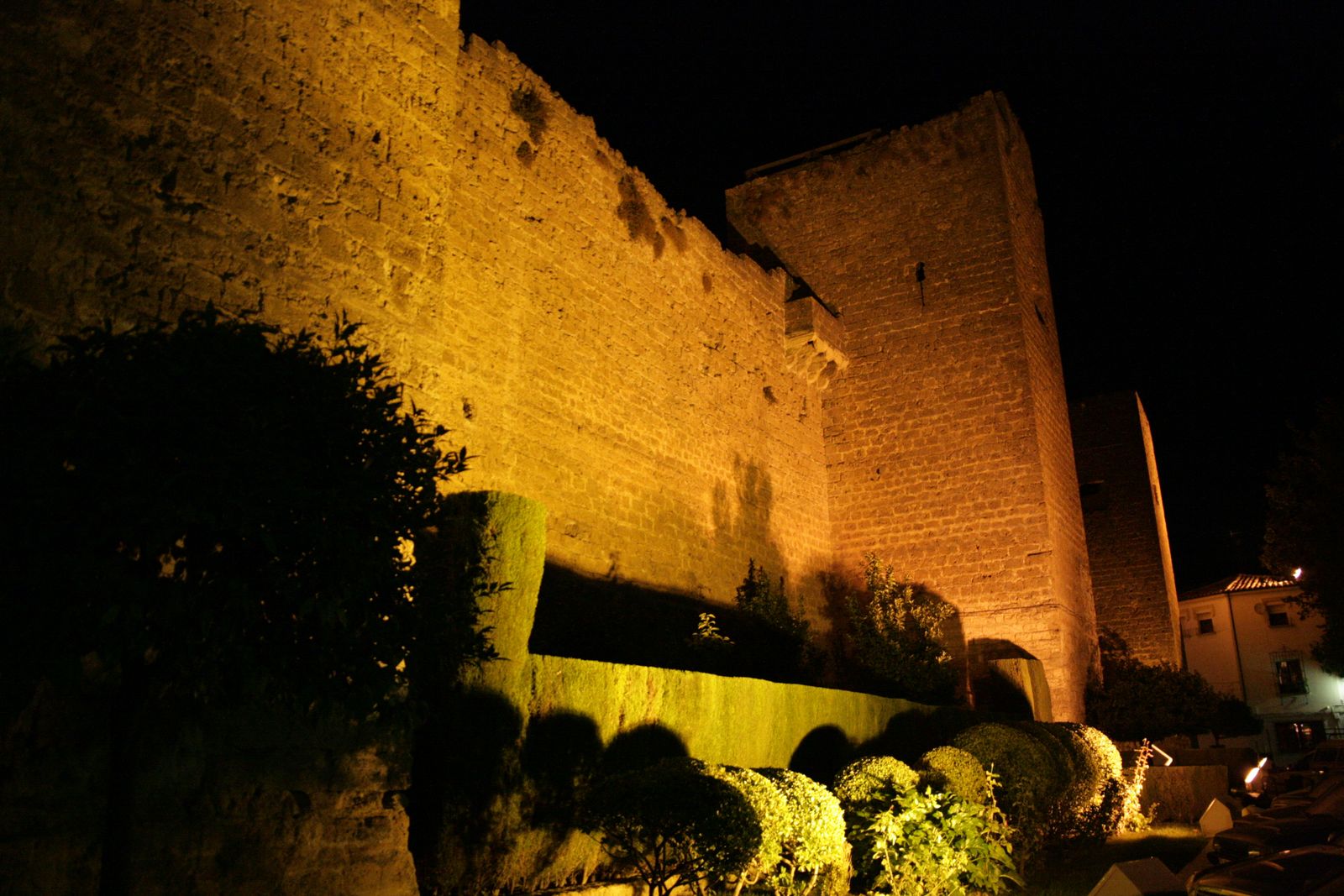 Fuente del Rey
