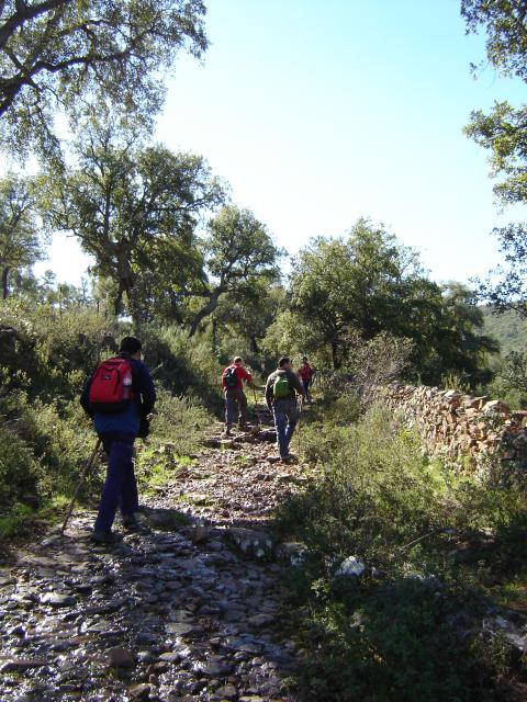 DSC02389