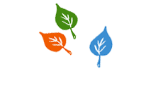 Inicio